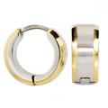 Arezzo stainless steel earrings