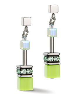 CDL stainless steel earrings in shades of green